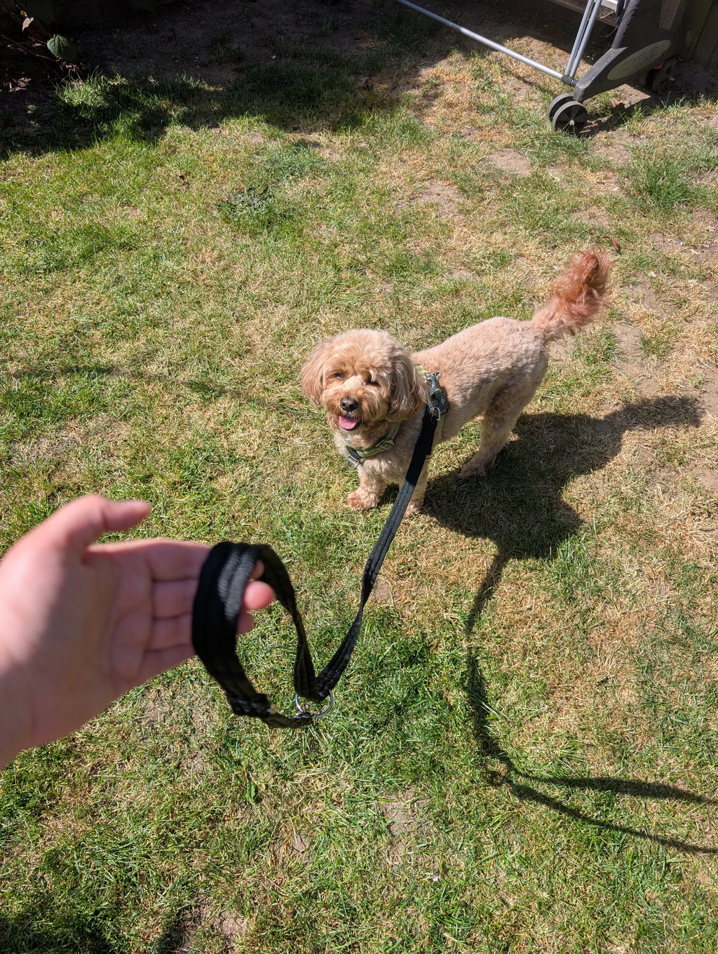 Double ended training lead