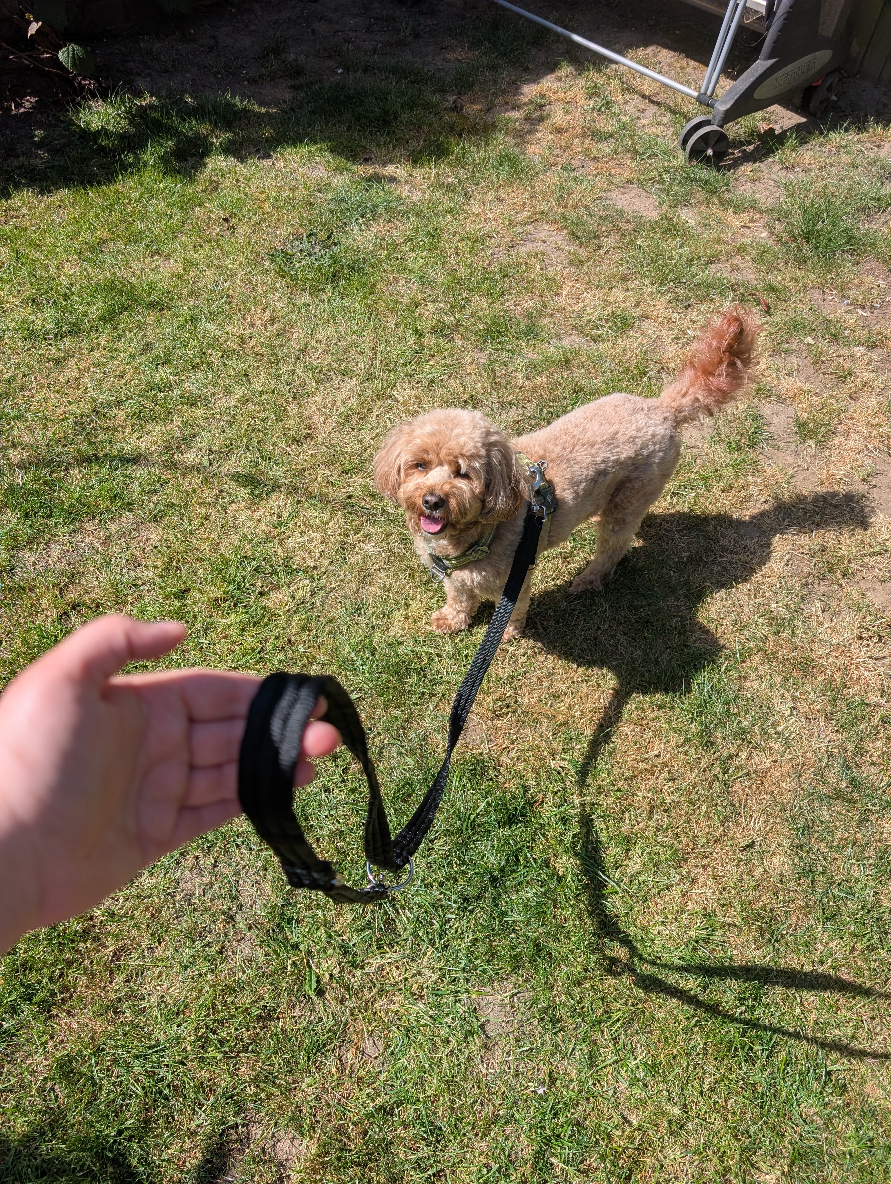 Double ended training lead