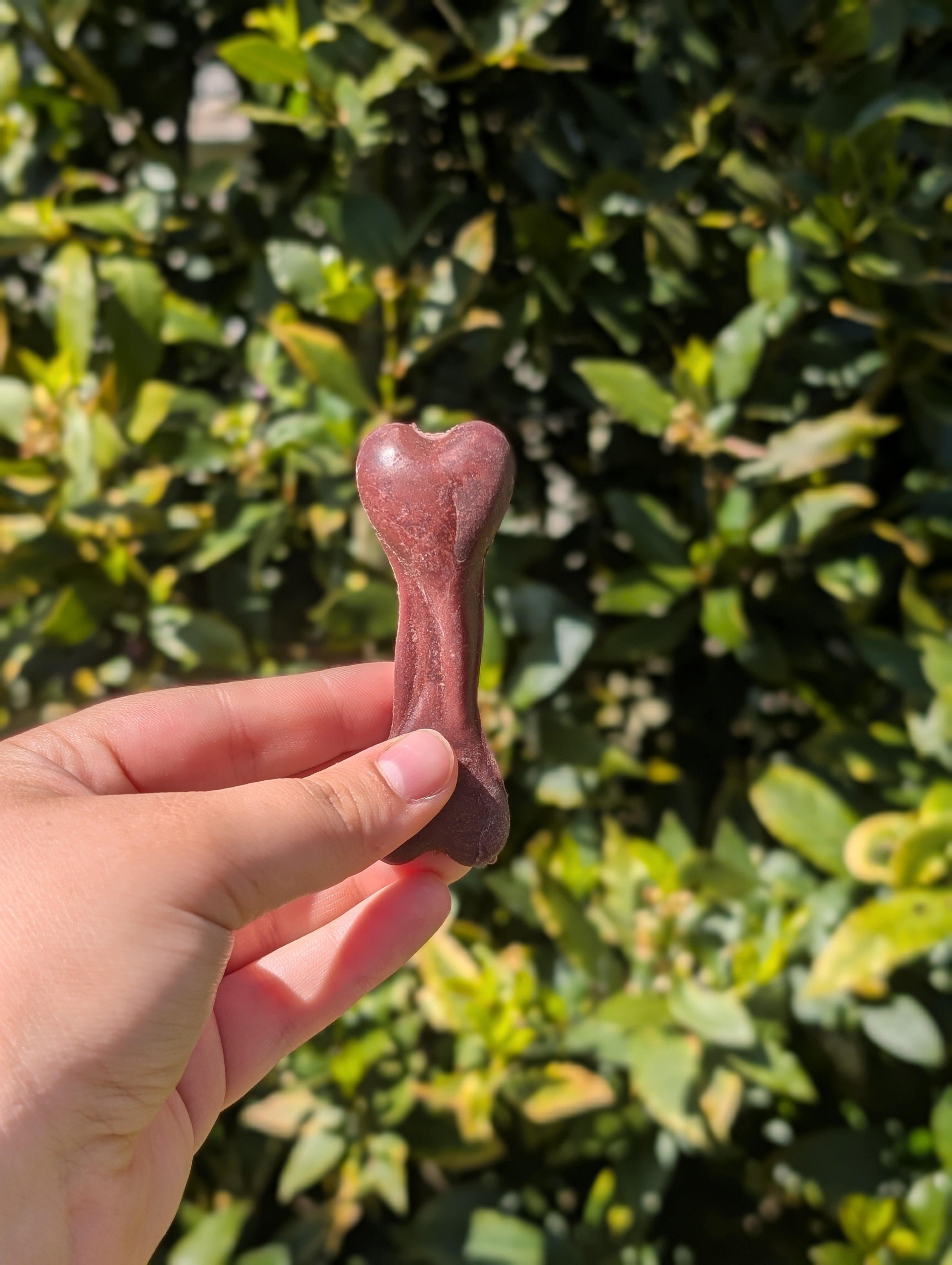 Mini veggie bones
