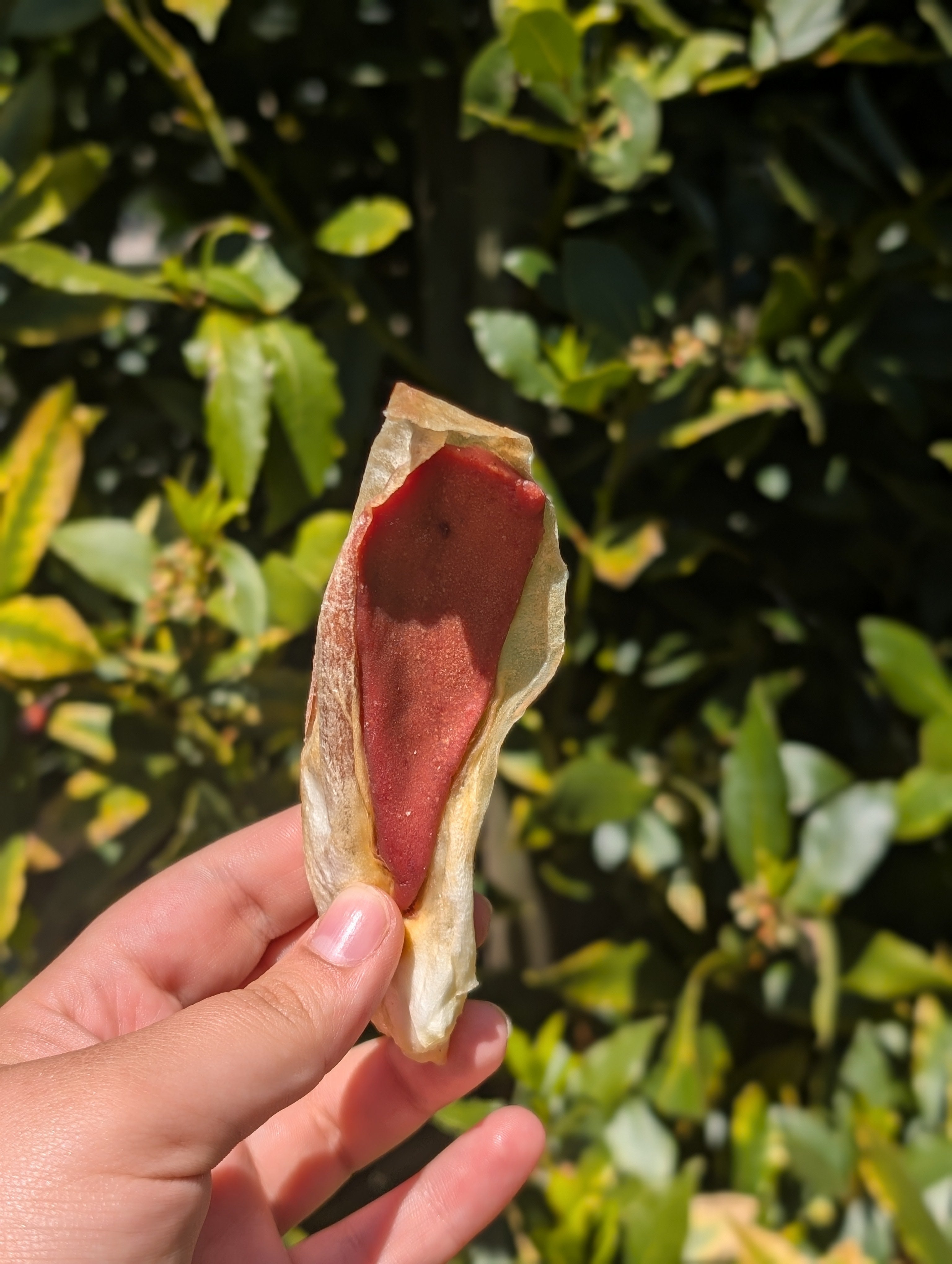 Filled Rabbit Ear