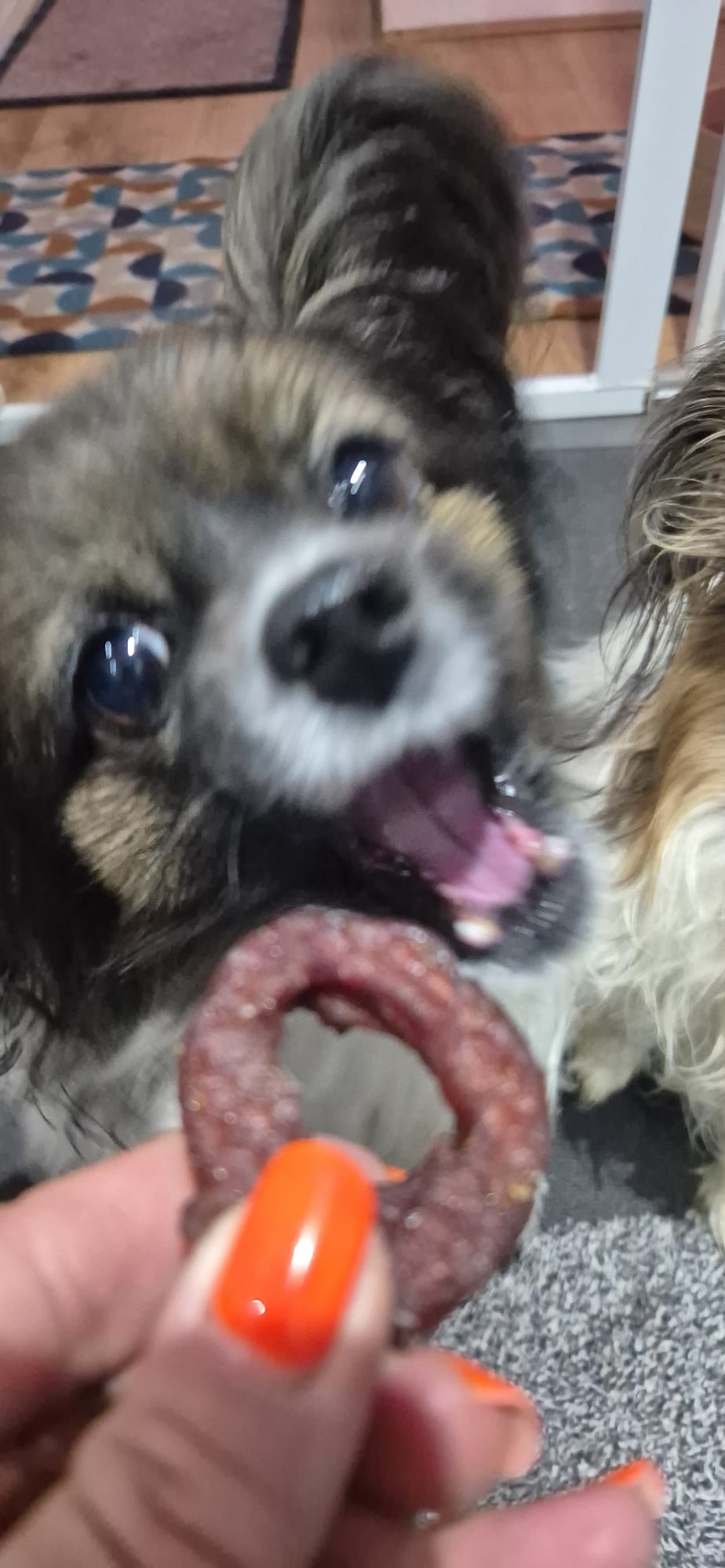 Duck Wrapped Cod Rings