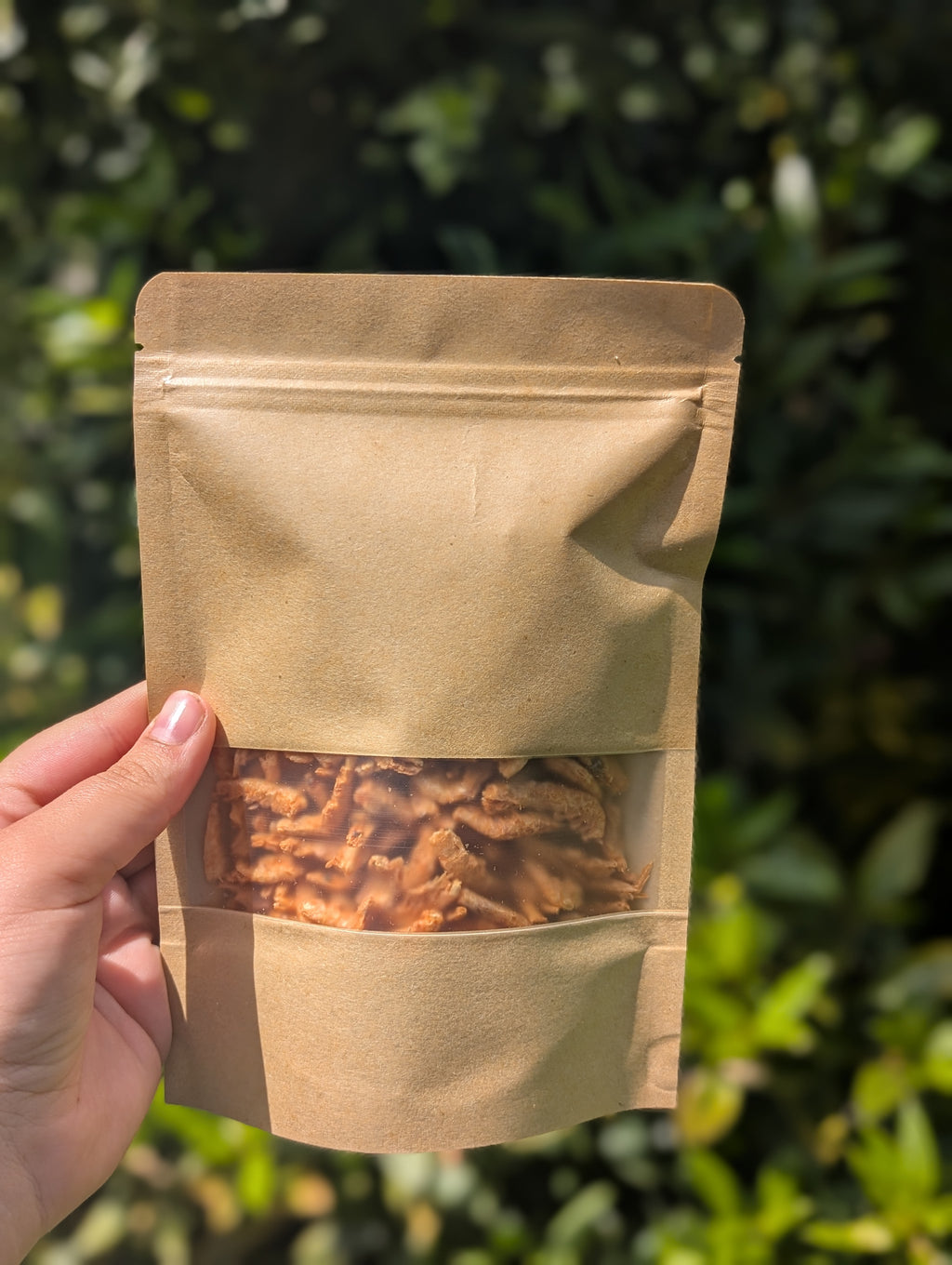 Freeze dried Krill
