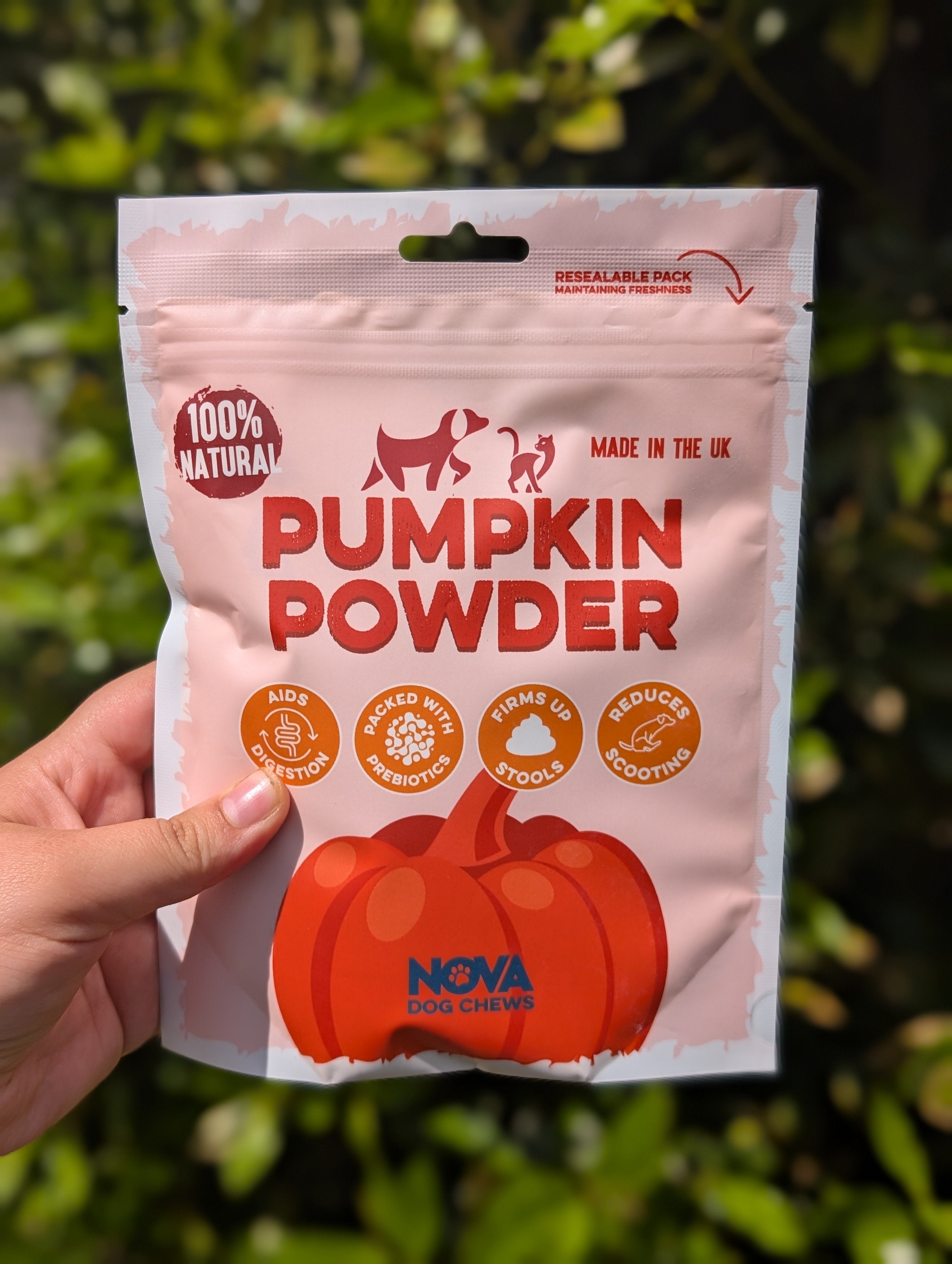 Pumpkin Powder