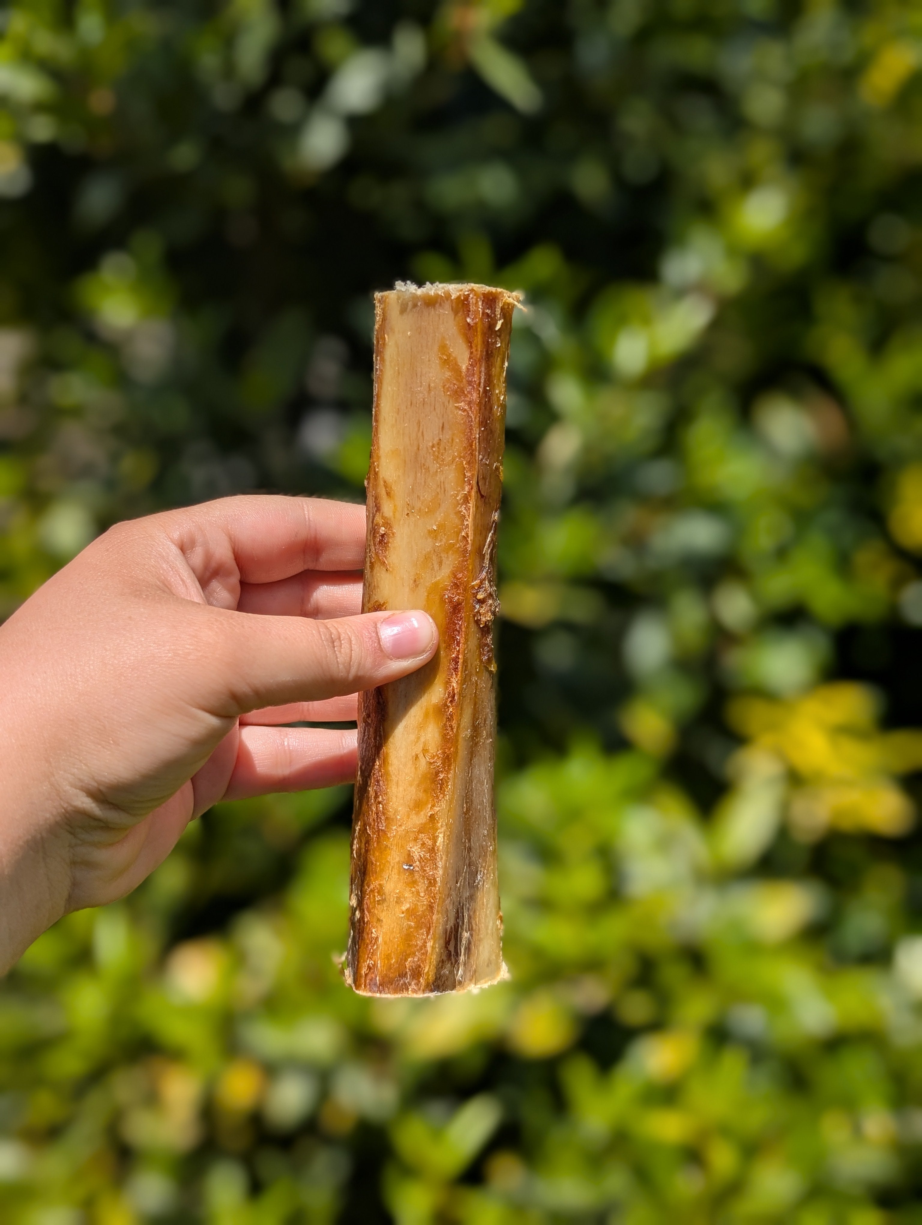 Ostrich Marrow Bones