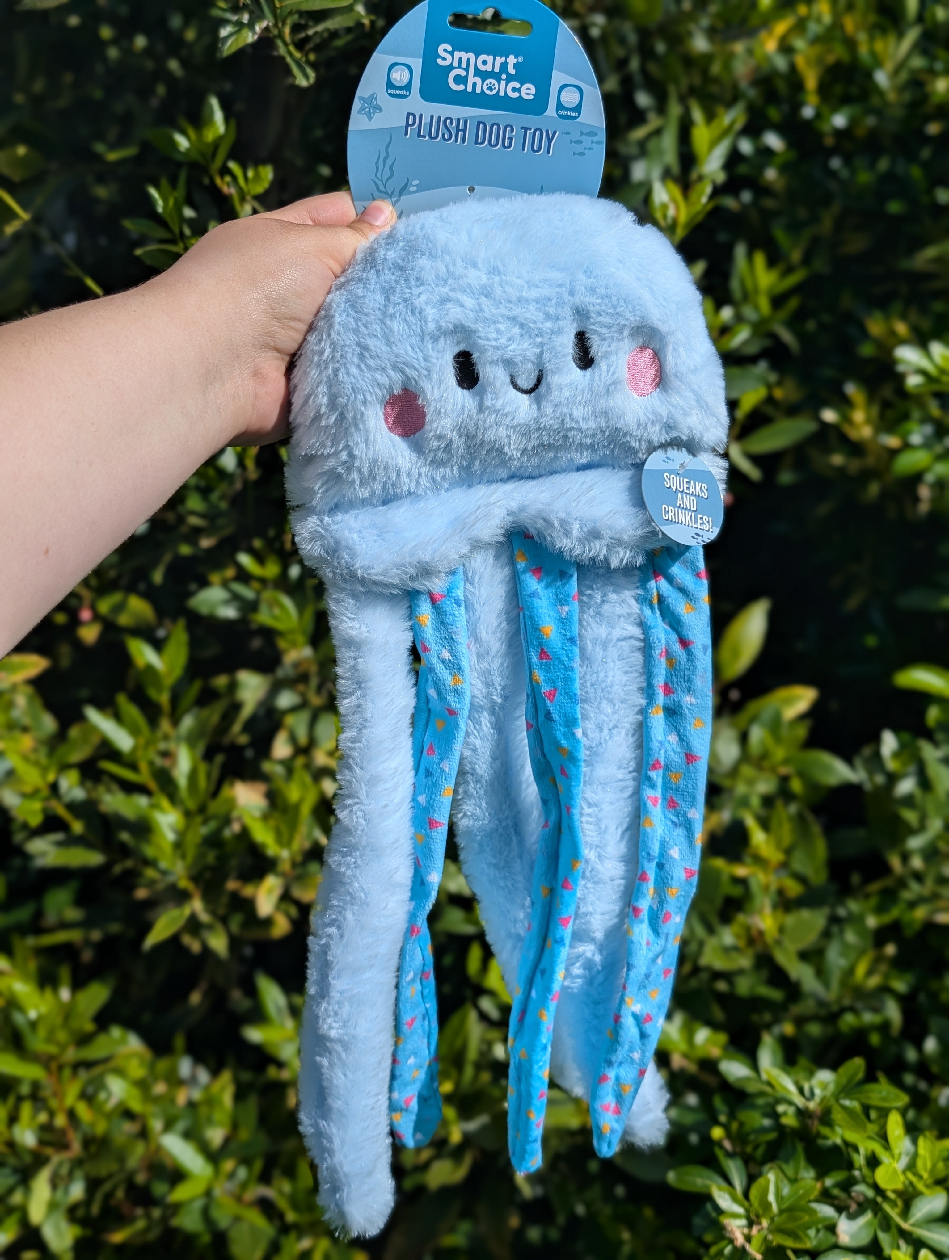 Orla The Octopus