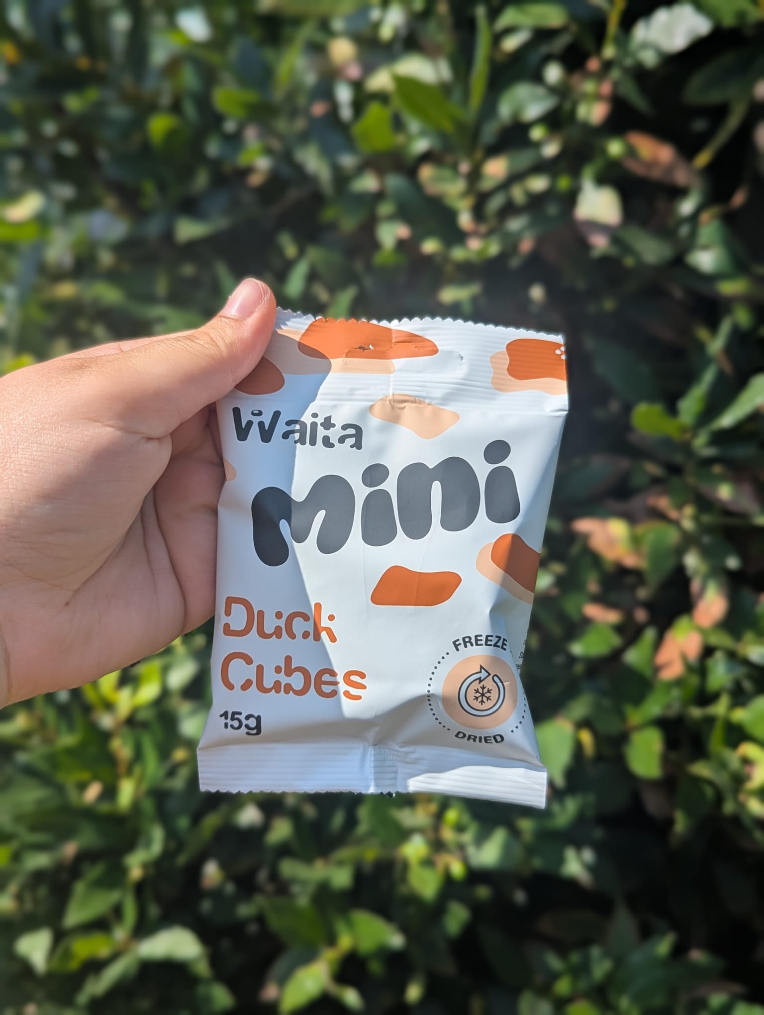 Waita Minis