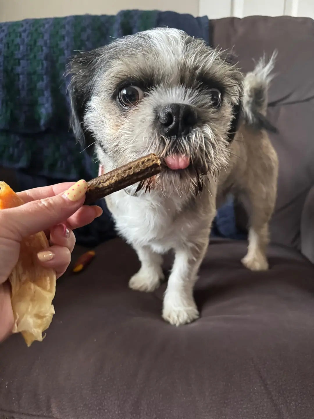 Meaty Sticks