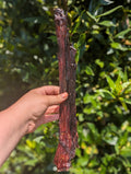 Ostrich Oesophagus
