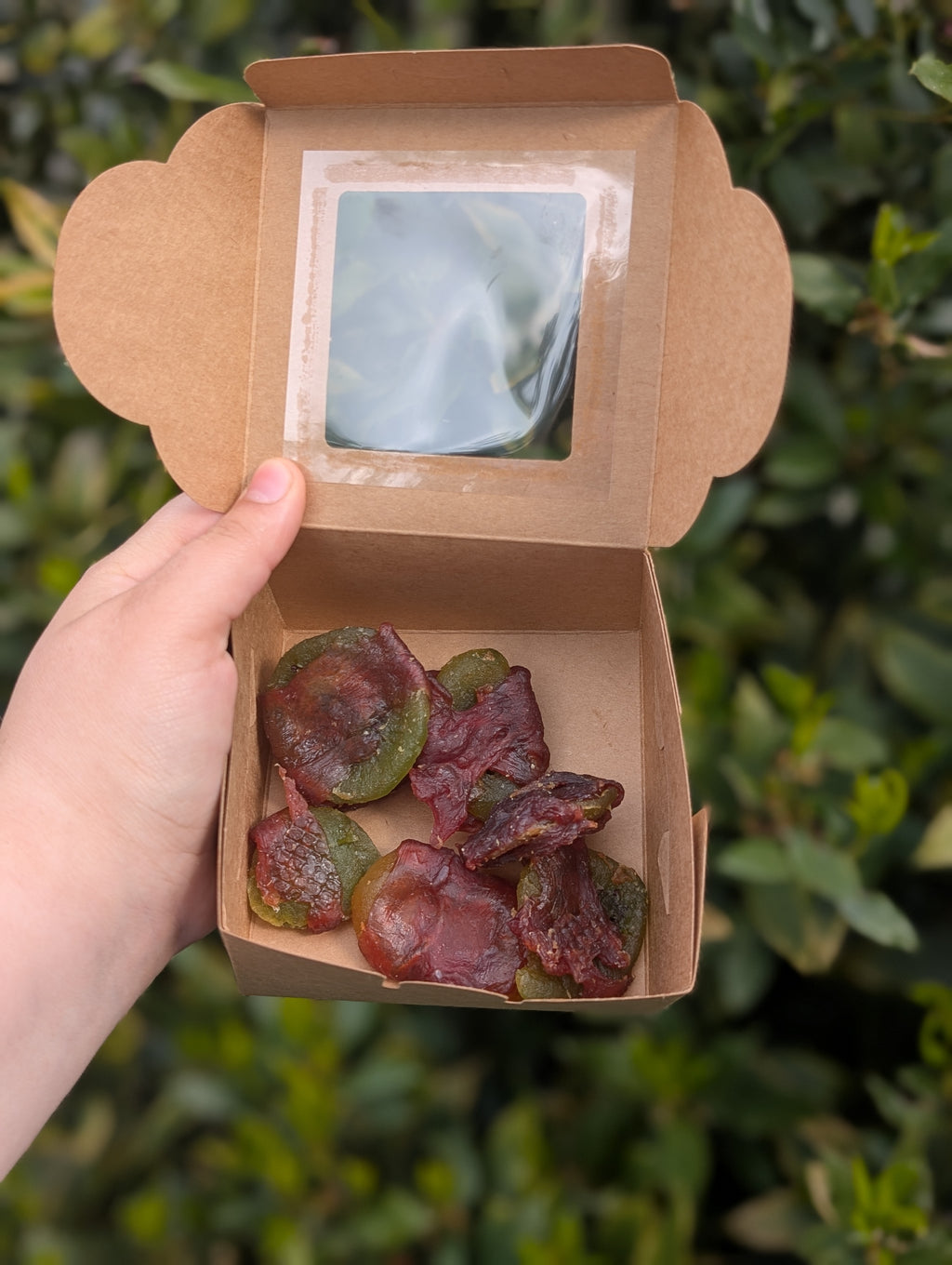 Duck Wrapped Kiwi
