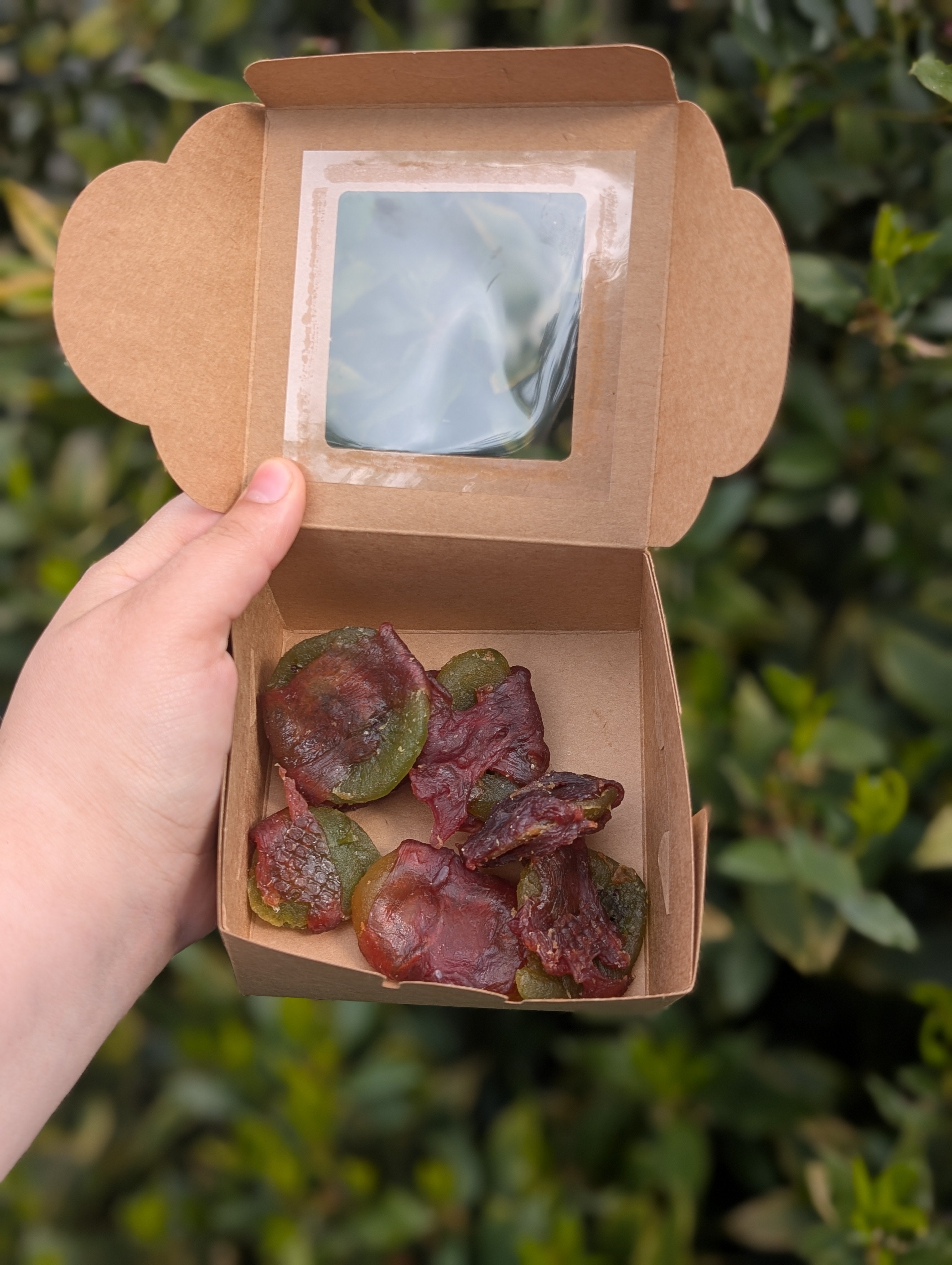 Duck Wrapped Kiwi