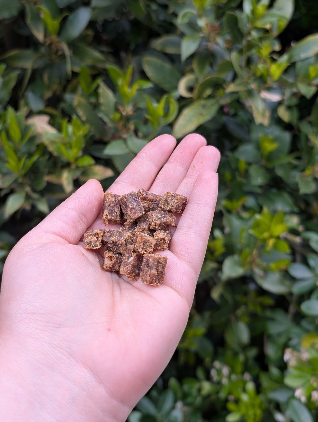 Boar Training Treats
