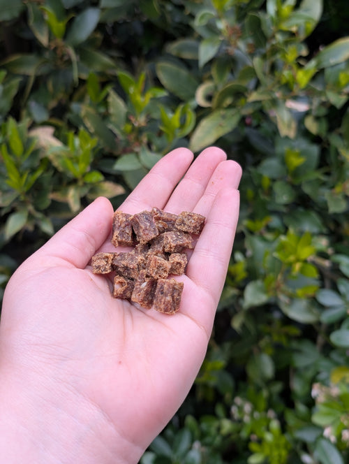 Boar Training Treats
