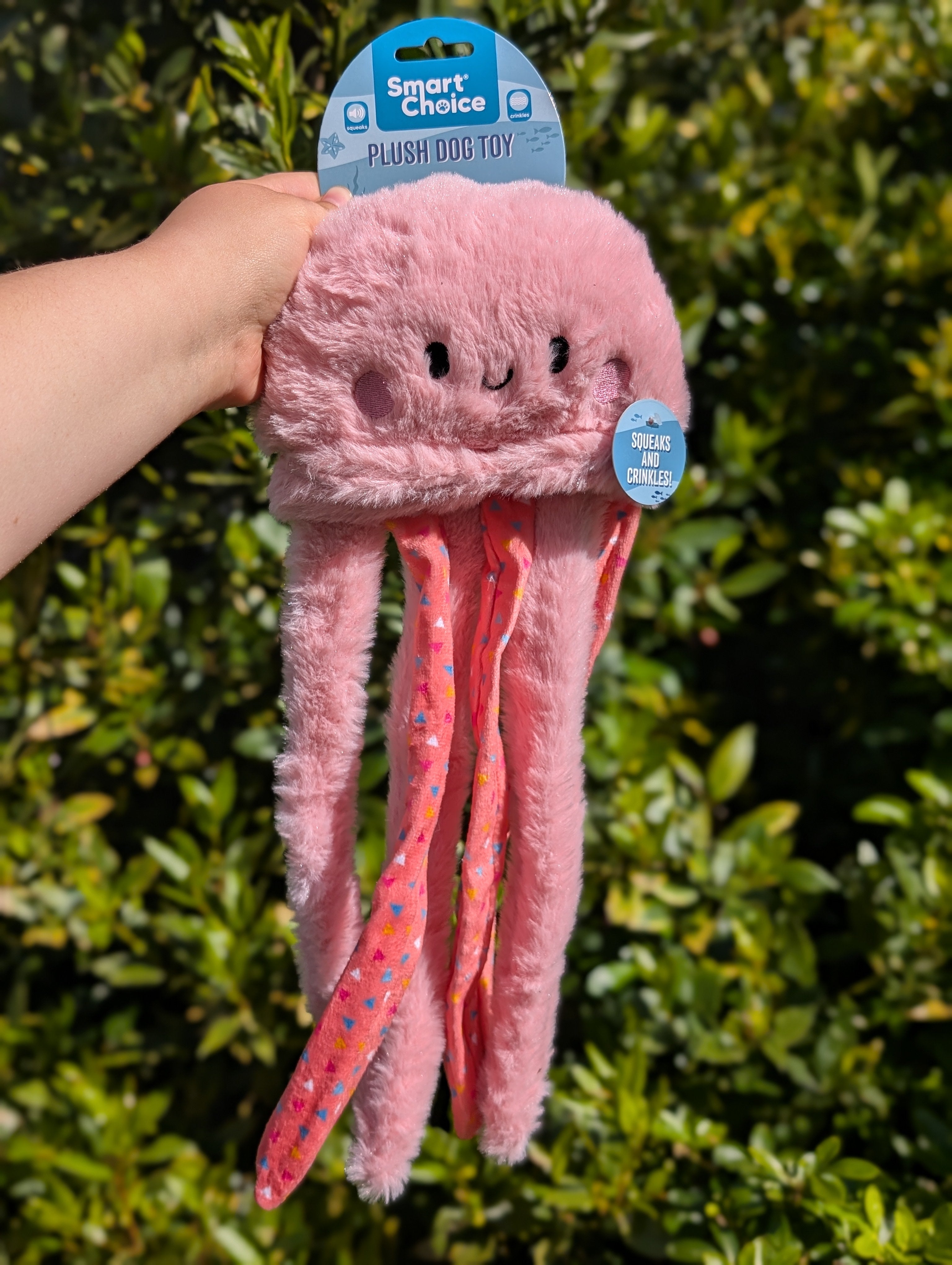 Orla The Octopus