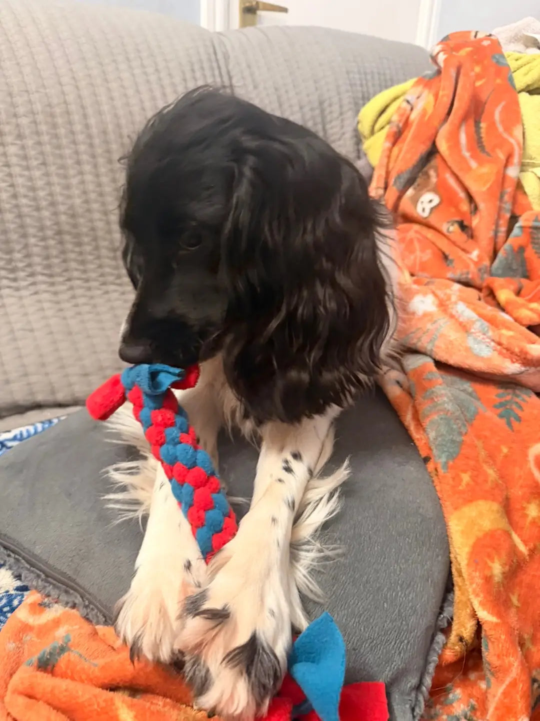 Handmade fleece toys