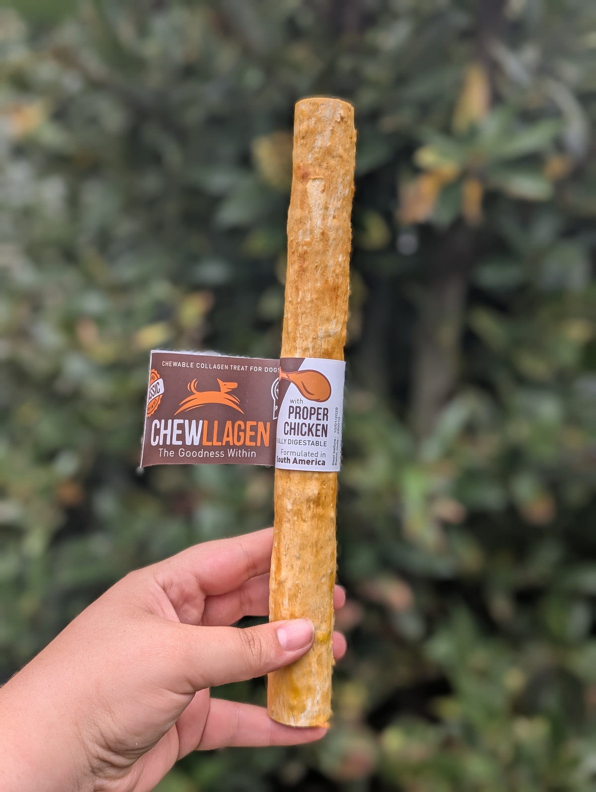 Collagen chews
